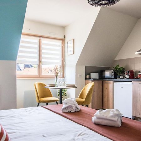Apartamento Lumineux - L'Oasis - Parking Prive Estrasburgo Exterior foto